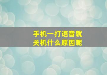 手机一打语音就关机什么原因呢