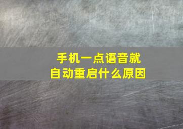 手机一点语音就自动重启什么原因