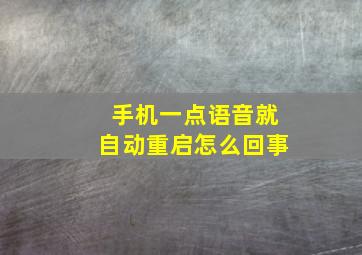 手机一点语音就自动重启怎么回事