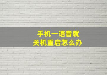 手机一语音就关机重启怎么办