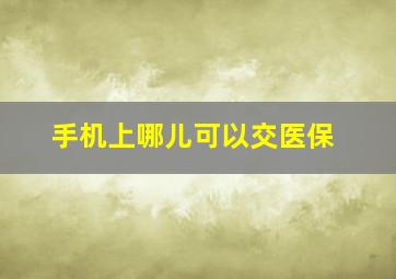 手机上哪儿可以交医保