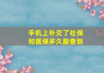 手机上补交了社保和医保多久能查到