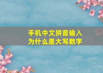 手机中文拼音输入为什么是大写数字