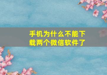 手机为什么不能下载两个微信软件了