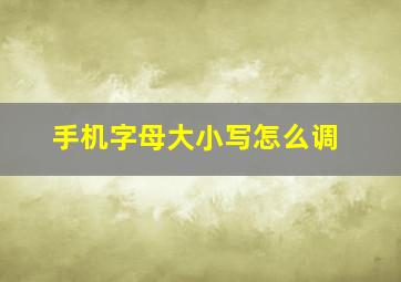 手机字母大小写怎么调