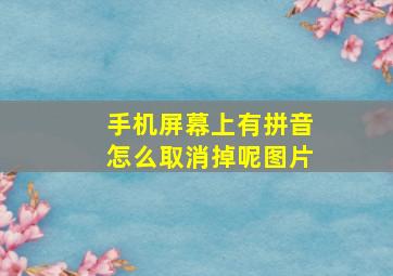 手机屏幕上有拼音怎么取消掉呢图片