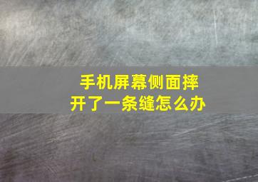 手机屏幕侧面摔开了一条缝怎么办