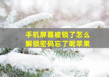 手机屏幕被锁了怎么解锁密码忘了呢苹果