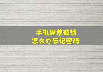 手机屏幕被锁怎么办忘记密码