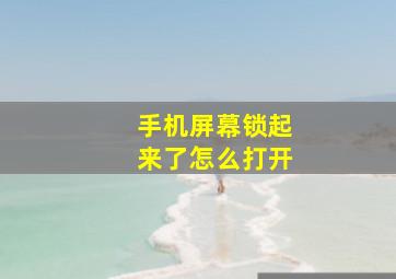 手机屏幕锁起来了怎么打开