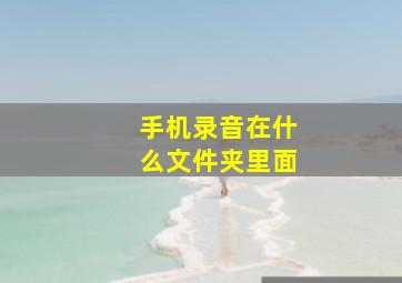 手机录音在什么文件夹里面