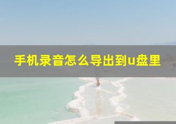 手机录音怎么导出到u盘里