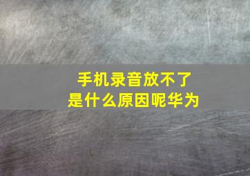 手机录音放不了是什么原因呢华为