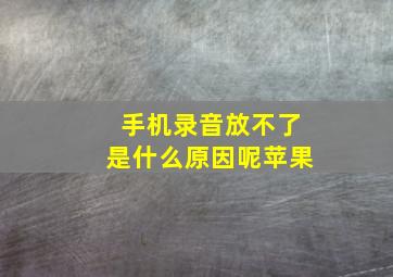 手机录音放不了是什么原因呢苹果