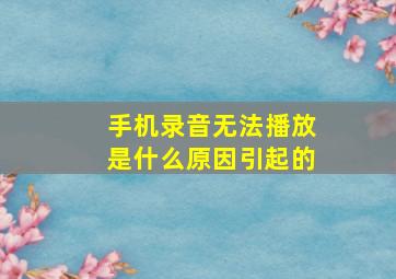 手机录音无法播放是什么原因引起的