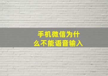 手机微信为什么不能语音输入