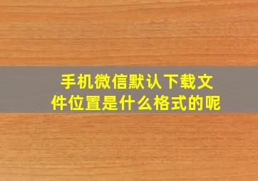 手机微信默认下载文件位置是什么格式的呢