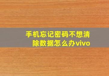 手机忘记密码不想清除数据怎么办vivo