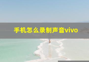 手机怎么录制声音vivo