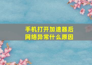 手机打开加速器后网络异常什么原因