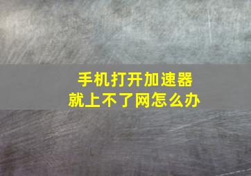 手机打开加速器就上不了网怎么办