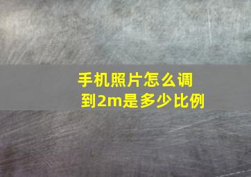 手机照片怎么调到2m是多少比例