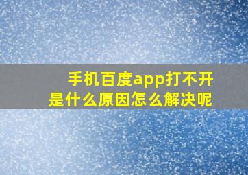 手机百度app打不开是什么原因怎么解决呢