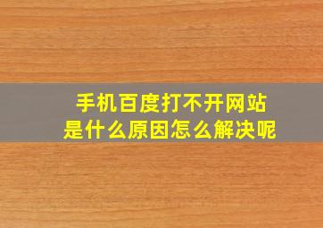 手机百度打不开网站是什么原因怎么解决呢