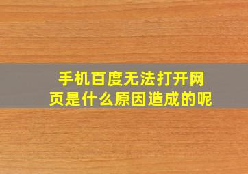 手机百度无法打开网页是什么原因造成的呢