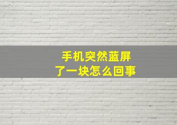 手机突然蓝屏了一块怎么回事