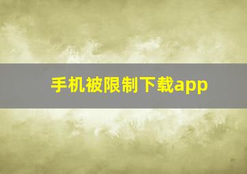 手机被限制下载app