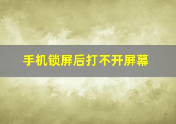 手机锁屏后打不开屏幕