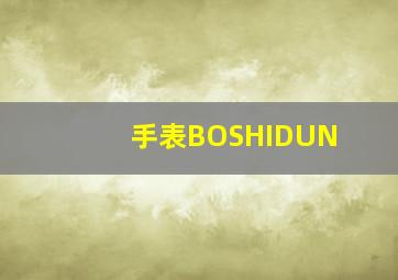 手表BOSHIDUN