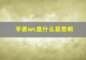 手表wc是什么意思啊