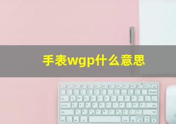 手表wgp什么意思