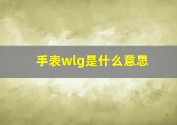 手表wlg是什么意思