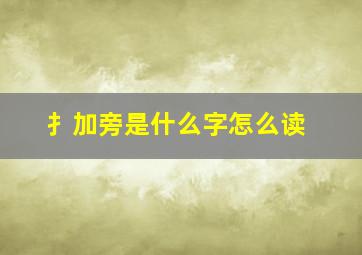 扌加旁是什么字怎么读