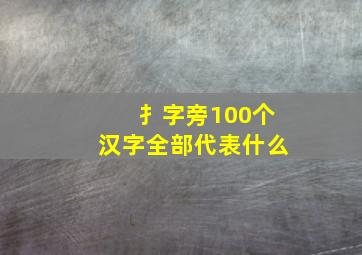 扌字旁100个汉字全部代表什么