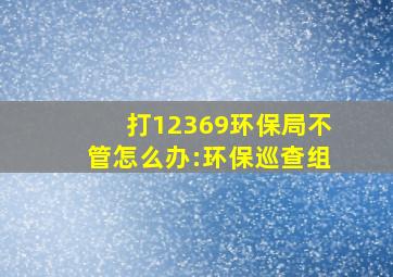 打12369环保局不管怎么办:环保巡查组