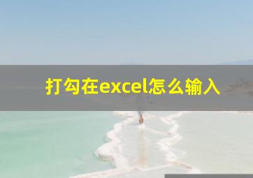 打勾在excel怎么输入