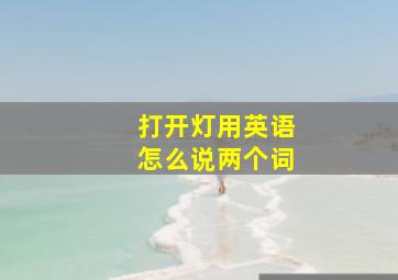 打开灯用英语怎么说两个词