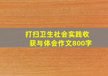 打扫卫生社会实践收获与体会作文800字