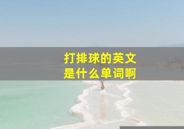 打排球的英文是什么单词啊