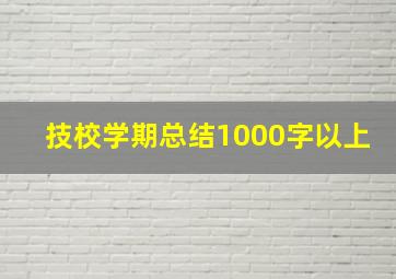 技校学期总结1000字以上