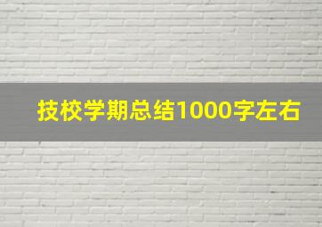 技校学期总结1000字左右