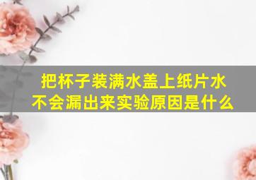 把杯子装满水盖上纸片水不会漏出来实验原因是什么