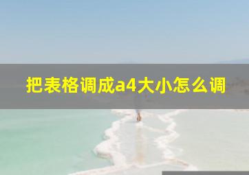 把表格调成a4大小怎么调