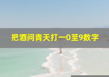 把酒问青天打一0至9数字