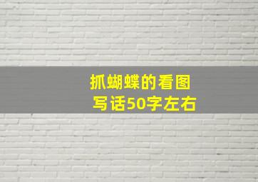 抓蝴蝶的看图写话50字左右