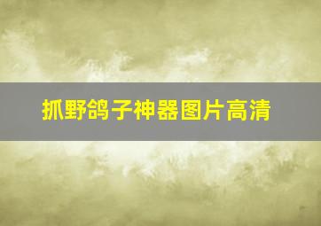 抓野鸽子神器图片高清